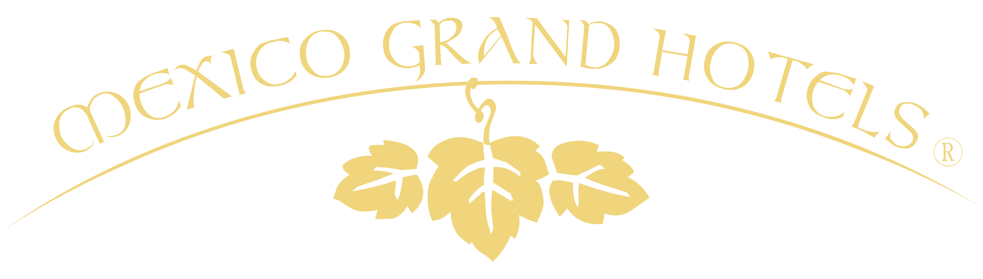 MGH Logo